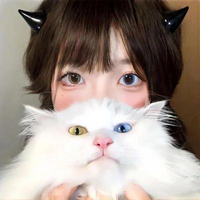拆弹客